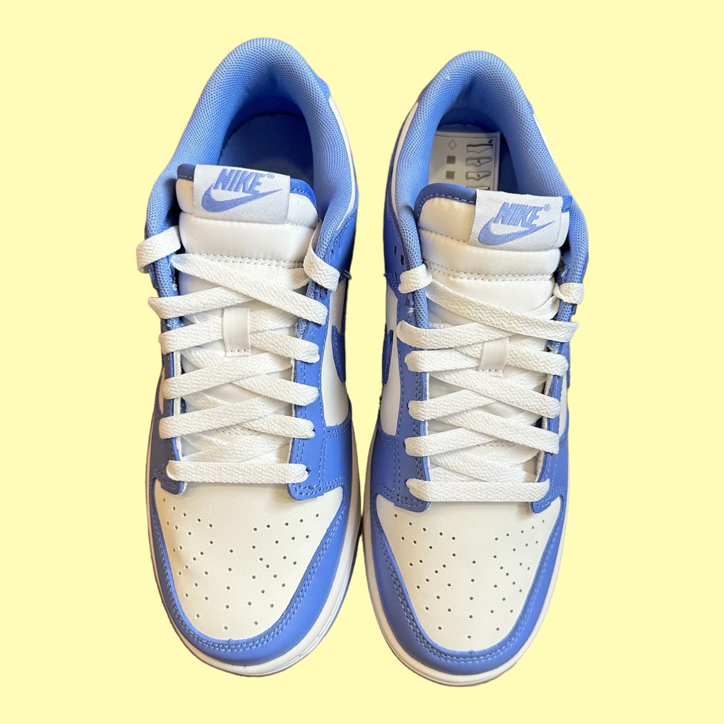 Dunk Low Polar Blue