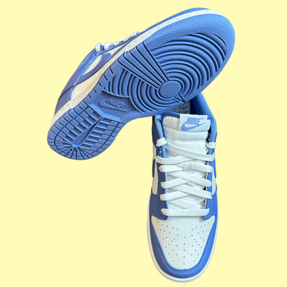 Dunk Low Polar Blue
